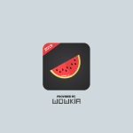 Download Melon Vpn For Android