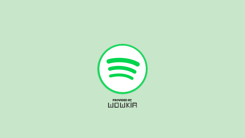 Download Spotify Lite For Android