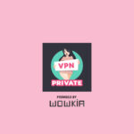 Download Vpn Private For Android