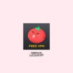 Download Vpn Tomato For Android